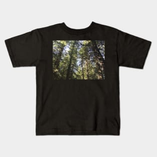 Looking up at Pines in Forest Kids T-Shirt